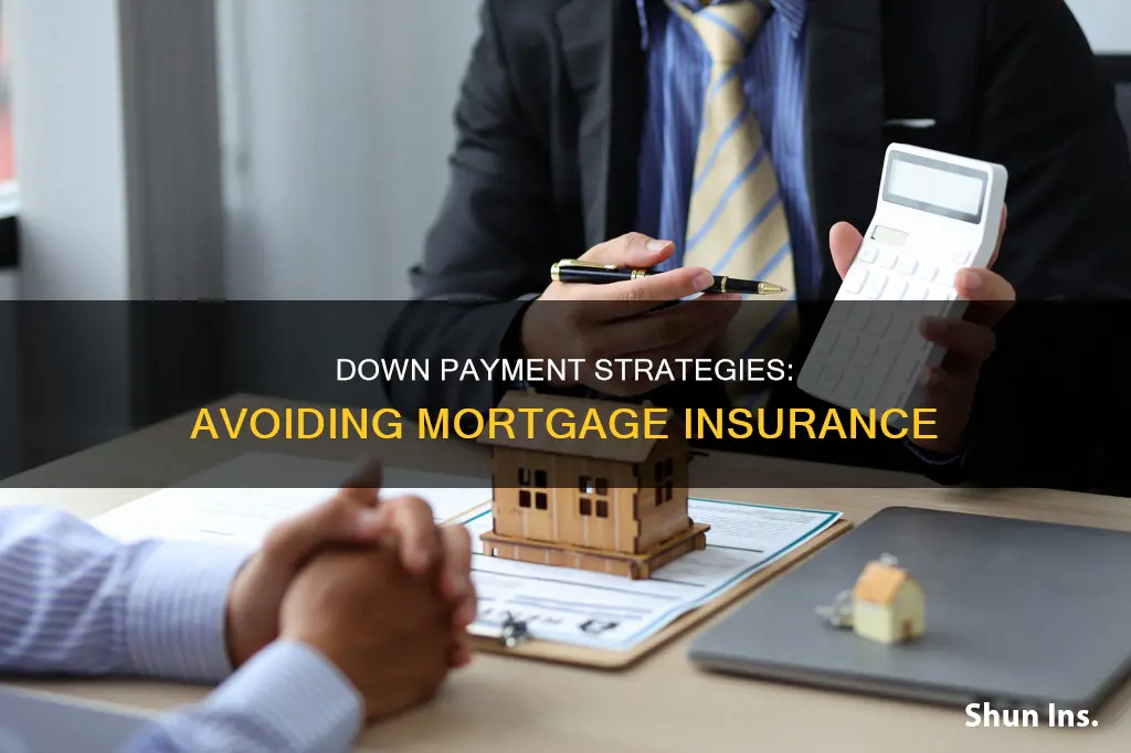 what percent down on house to avoid mortgage insurance