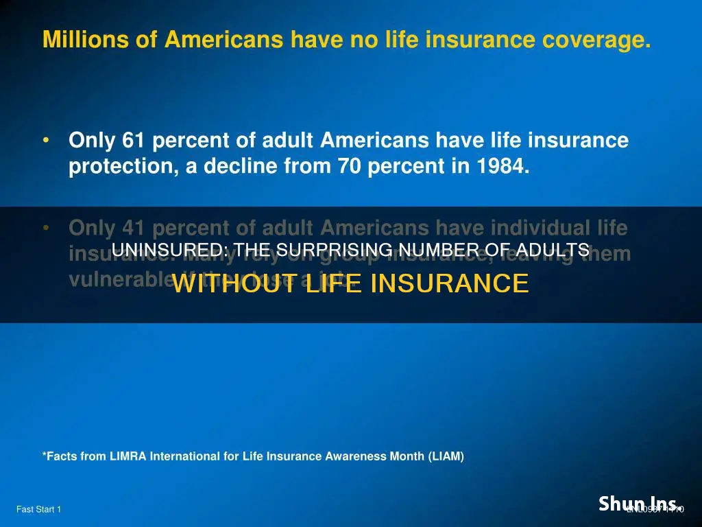 what percent of adults do not have life insurance