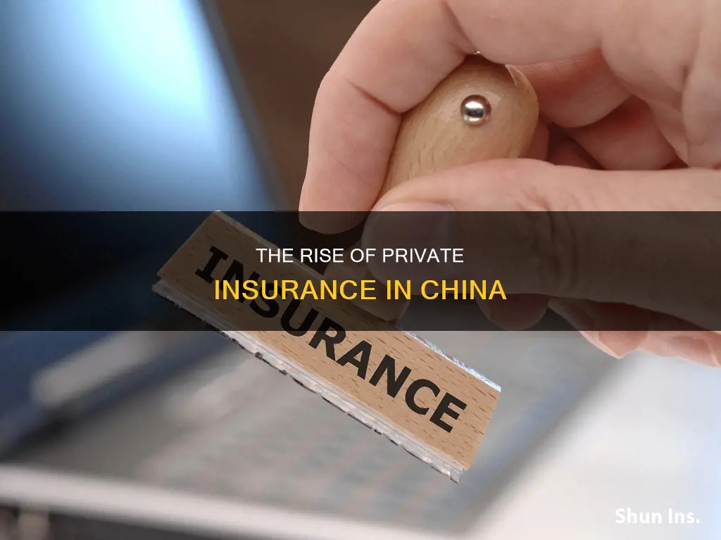 what percent of chinese on private insurance