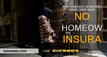 Landlord Insurance: Detroit's Uninsured Property Crisis