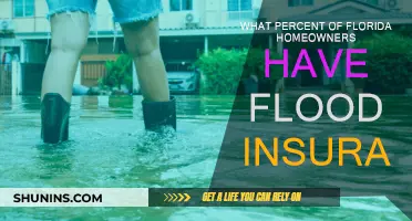 Florida Homeowners: How Many Have Flood Insurance?