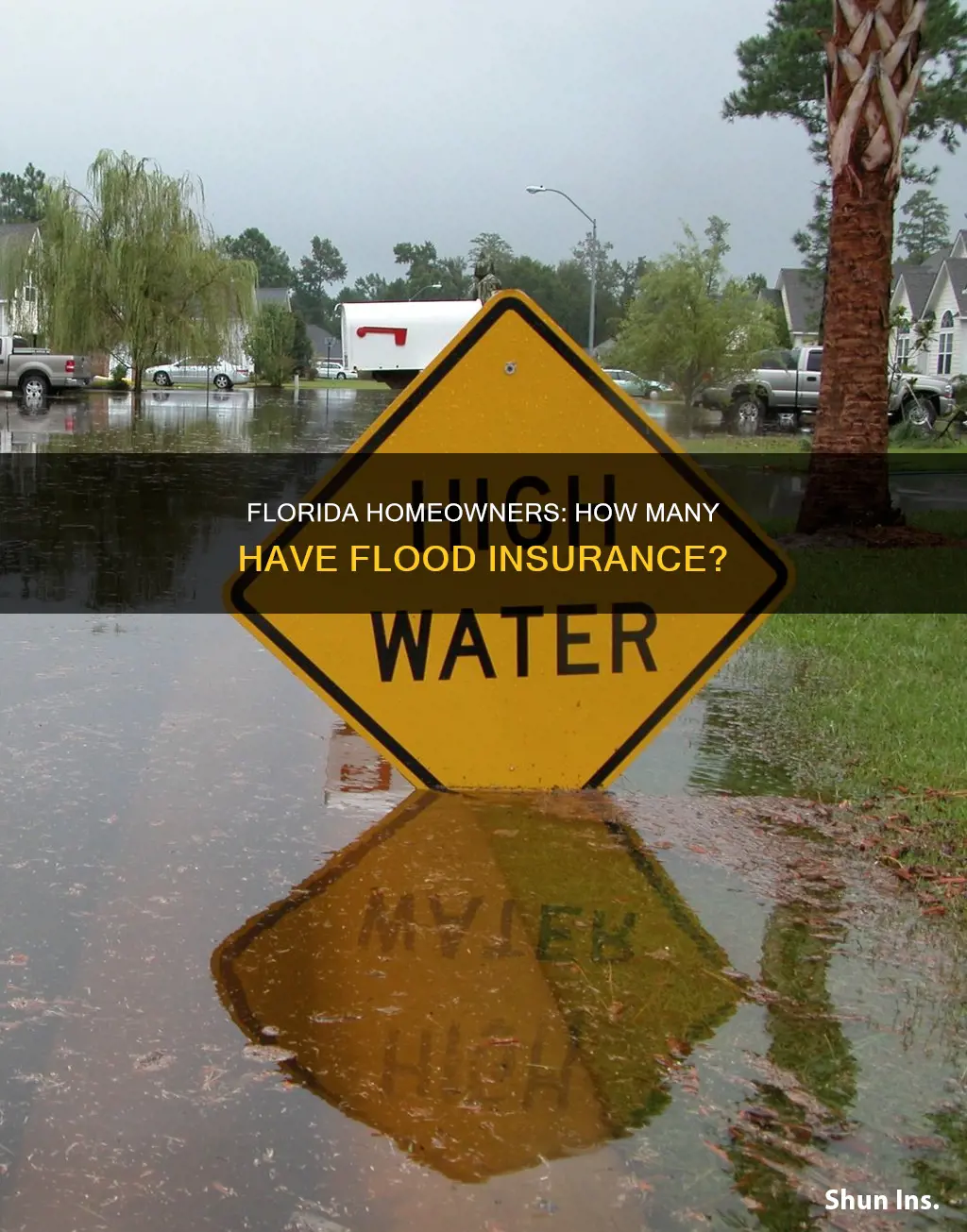 what percent of florida homeowners have flood insurance