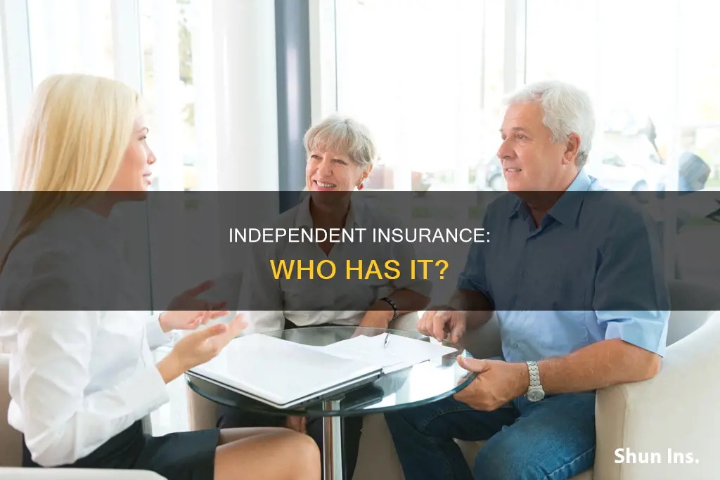 what percent of people have independent insurance