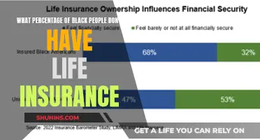 Black Community: Life Insurance Gap and Its Impact