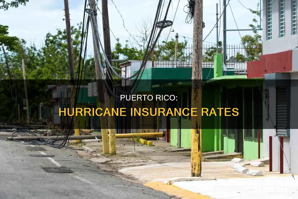 what percentage of people in puerto rico have hurricane insurance