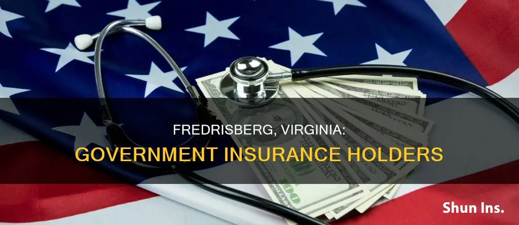 what percentage of people of fredrisberg virginia have government insurance