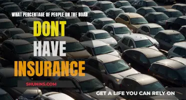 Uninsured Drivers: A Dangerous Reality