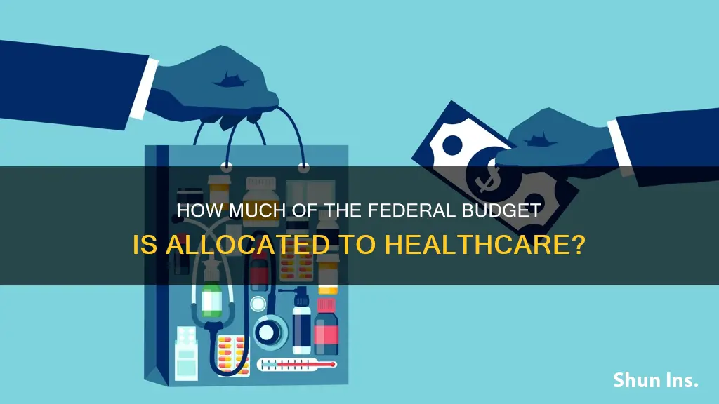 what percentage of the federal budget goes to medical insurance