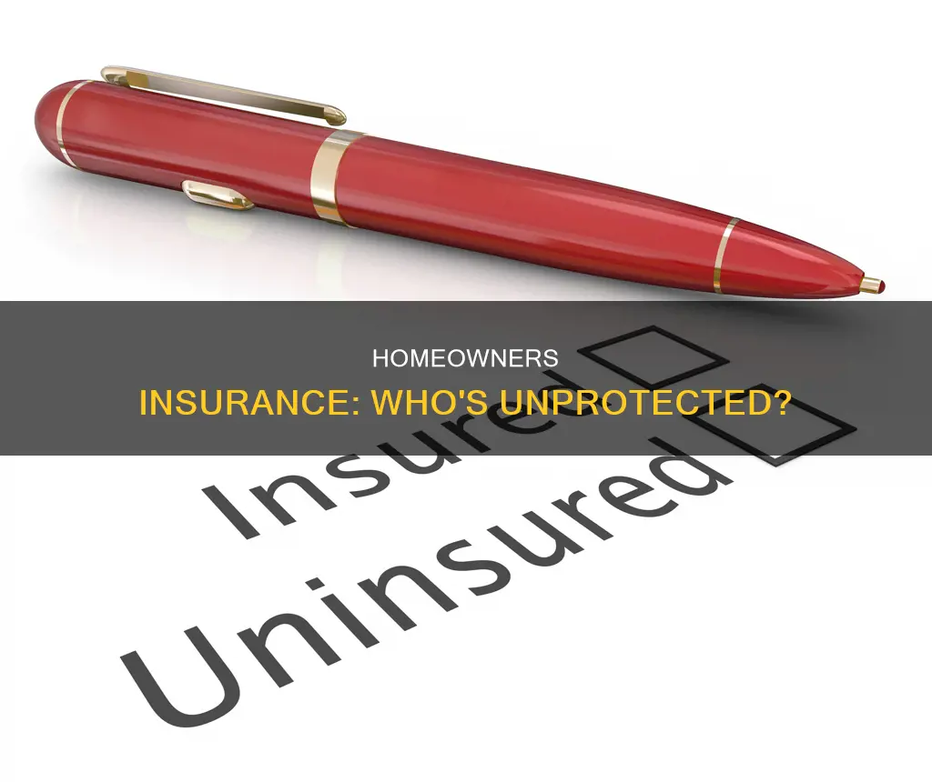 what persentage of the populaton does not carry homeweners insurance