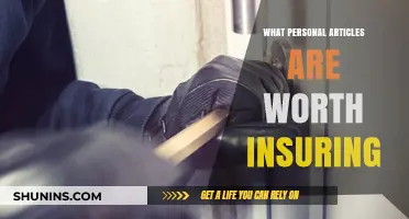 Insuring Personal Articles: What's Worth Your Money?