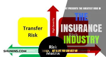 The Insurance Industry's Greatest Risk: Unpredictable Nature