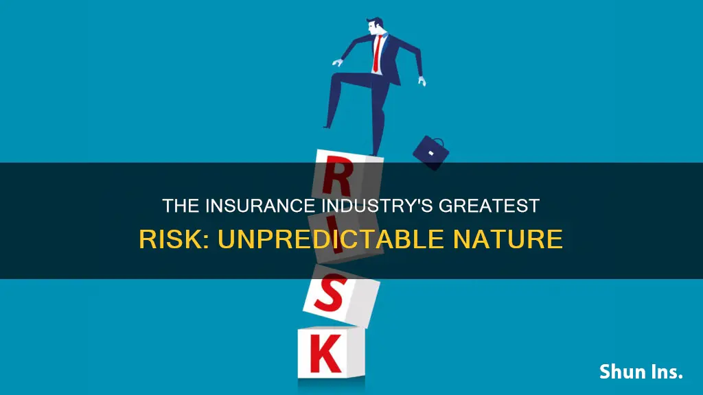 what presents the greatest risk in the insurance industry