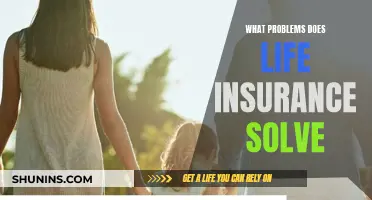 Life Insurance: Solving Financial Concerns for a Peaceful Future