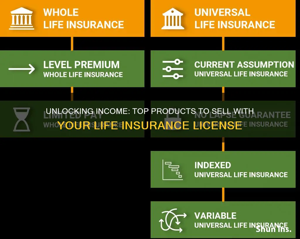 what products can I sell with a life insurance license