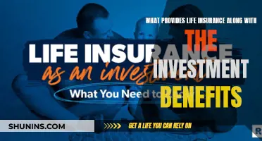 Life Insurance and Investment Benefits: A Powerful Financial Tool