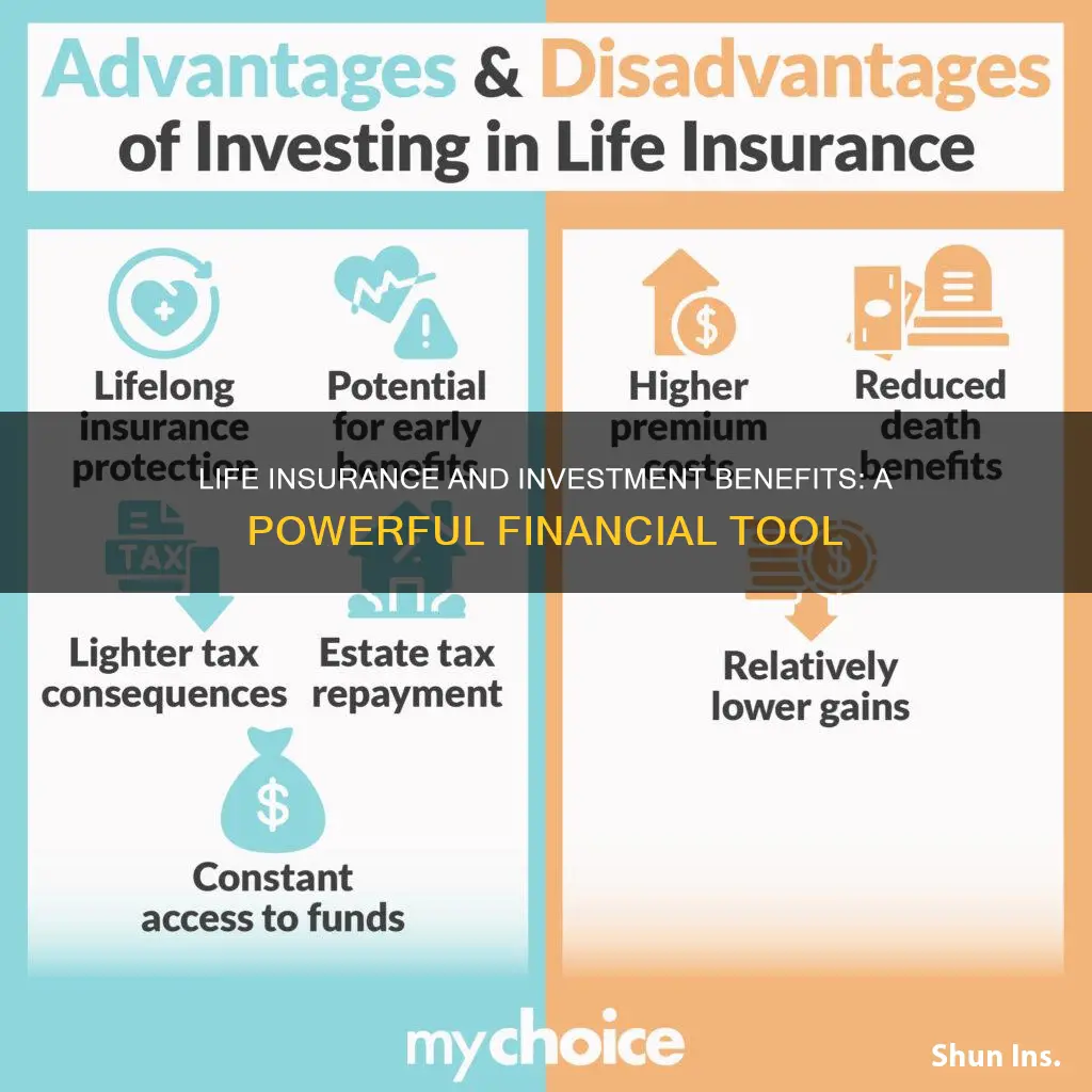 what provides life insurance along with the investment benefits