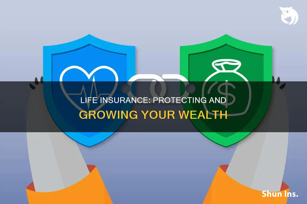 what provides life insurance along with the investment benefits