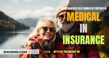 Domestic Partner Qualifications for Medical Insurance Coverage