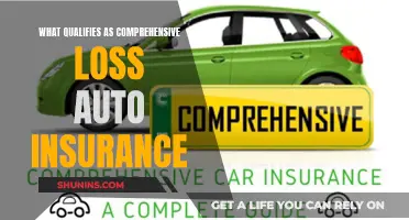 Understanding Comprehensive Loss Auto Insurance Coverage