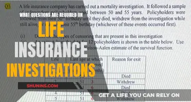 Uncovering Life's Secrets: Essential Questions for Insurance Investigations