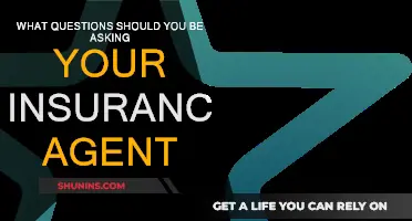 Essential Questions to Ask Your Insurance Agent