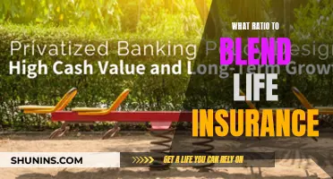 The Right Blend: Optimizing Your Life Insurance Coverage