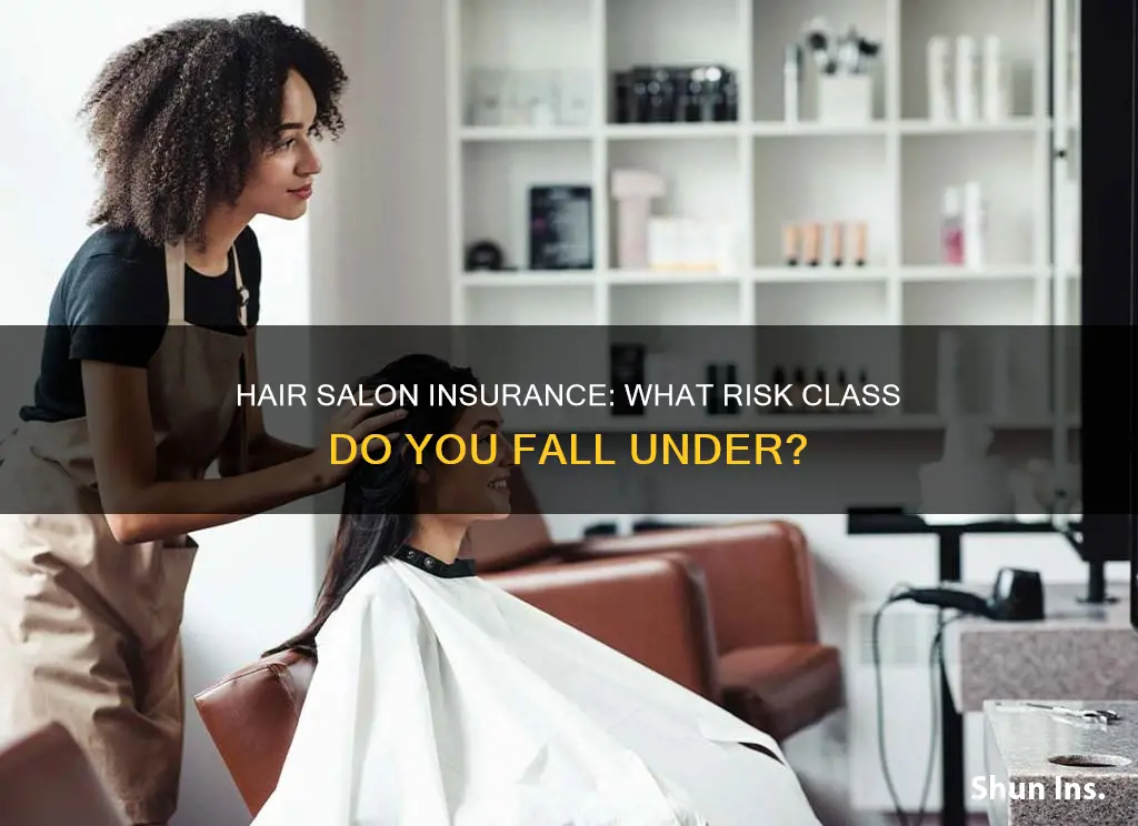 what risk class is for hair salon insurance