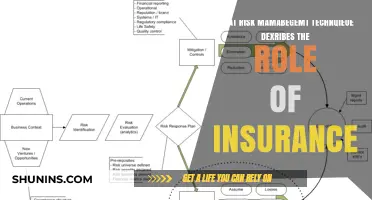 Managing Risk: Insurance's Role Explained