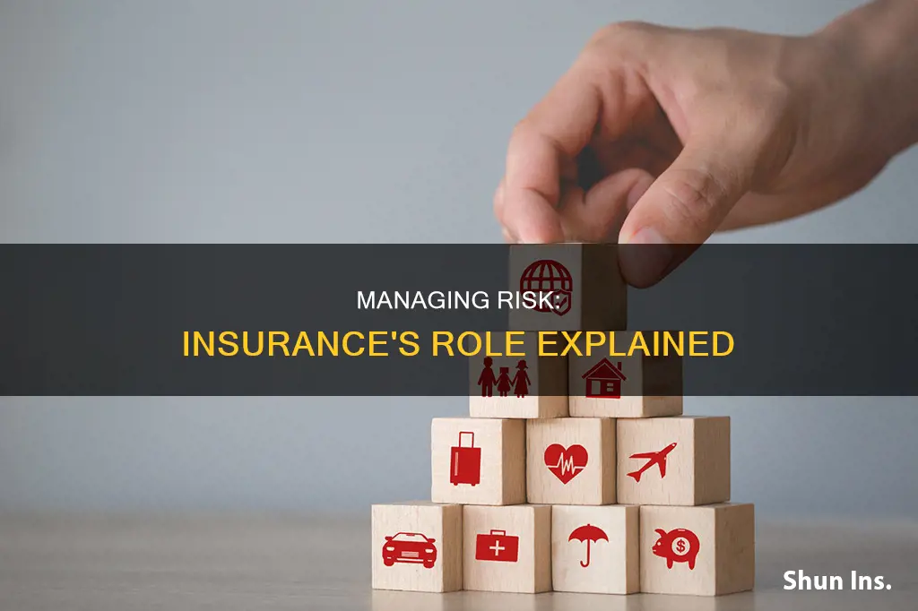 what risk mamabegemt technqieue dexribes the role of insurance