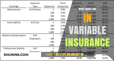 Variable Insurance: Risks and Rewards