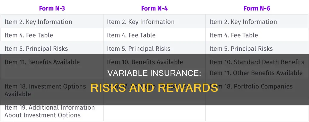 what risks are in variable insurance