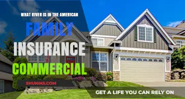 American Family Insurance: River of Dreams