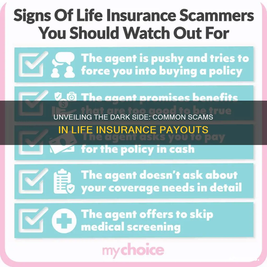 what scams are out there on life insurance payout