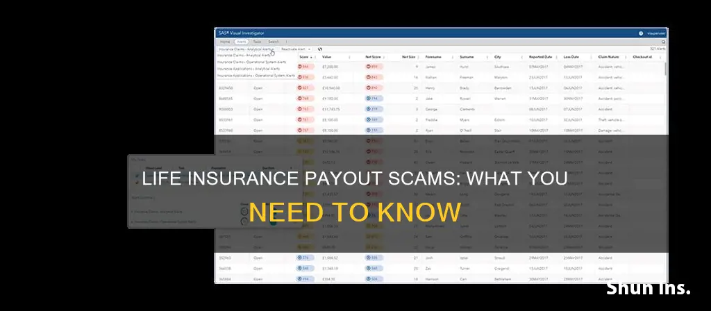 what scams are out there on life insurance payout