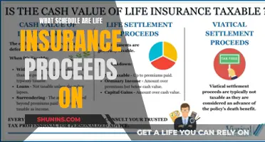 Life Insurance Proceeds: When and How Fast You'll Get Paid