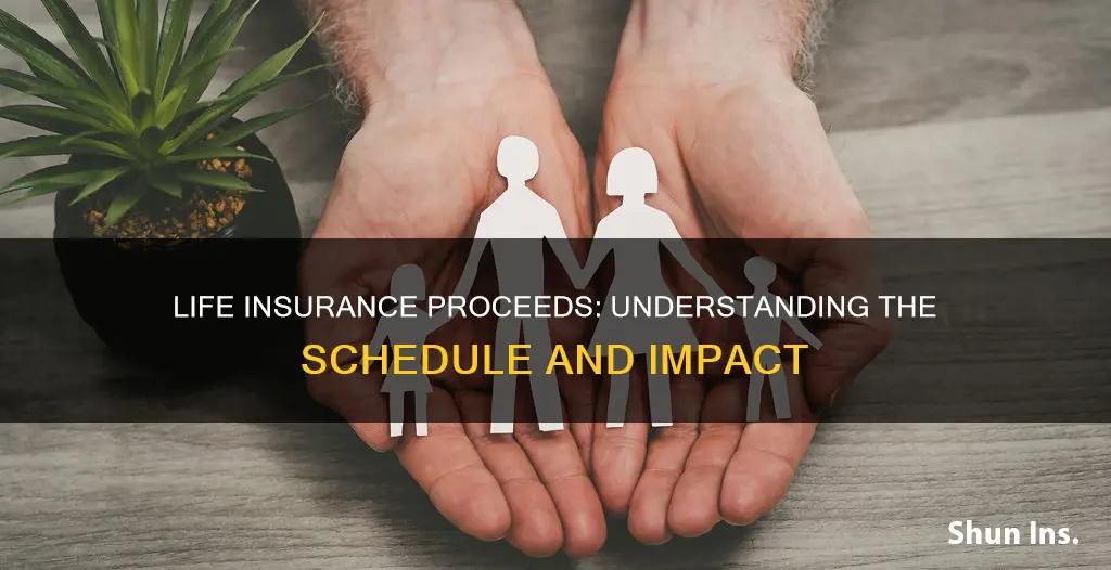 what schedule are life insurance proceeds on