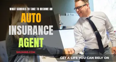 Best Schools to Become a Successful Auto Insurance Agent