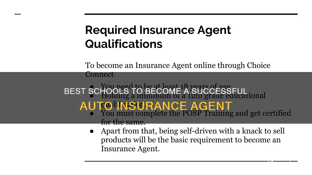 what schools to take to become an auto insurance agent