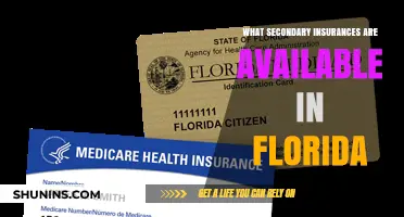 Florida's Secondary Insurance Options: What's Available?