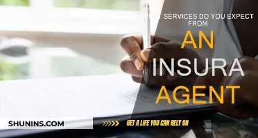 Your Insurance Agent: Services You Should Expect