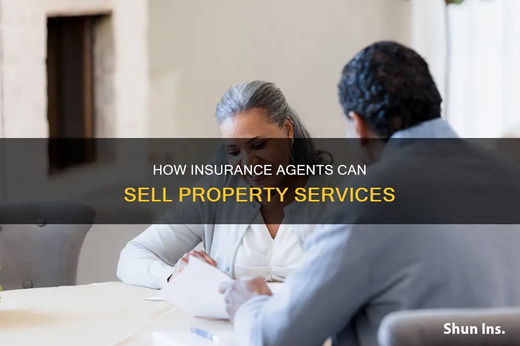 what services sell an insurance property agent