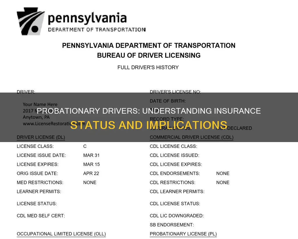 what should be driver status in insurance for probationary drivers