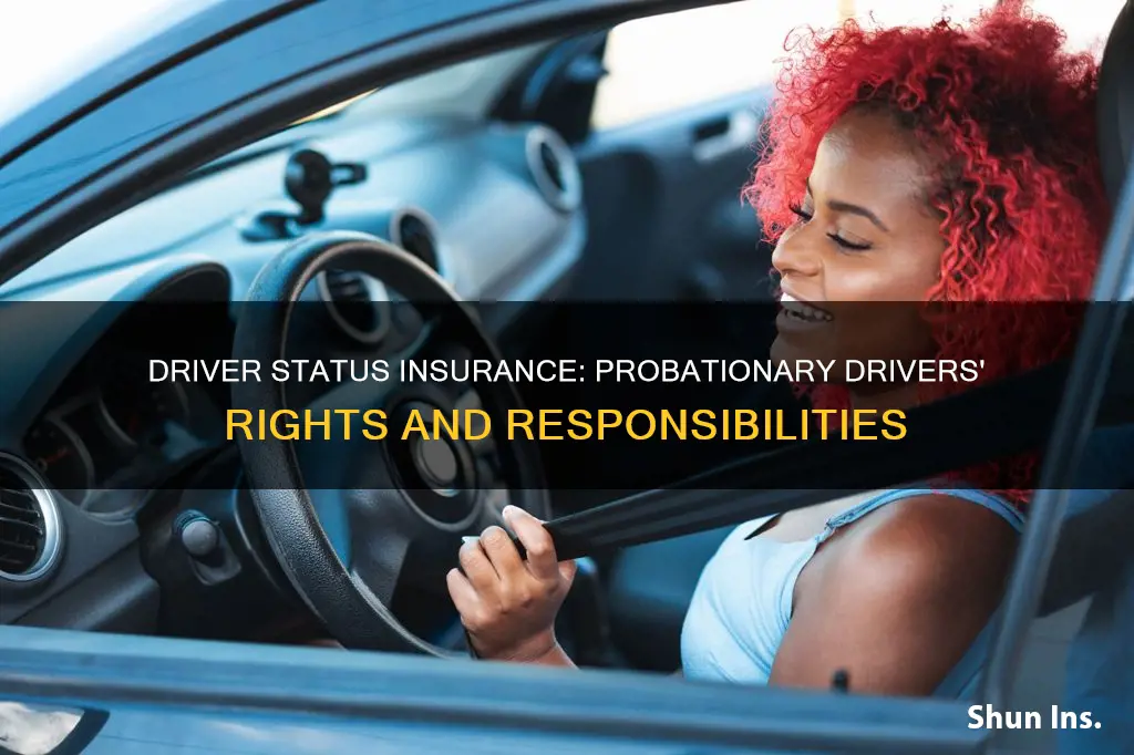 what should be driver status in insurance for probationary drivers