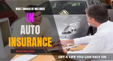 Auto Insurance: What You Need to Know and Include