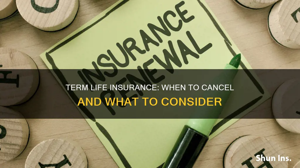 what should I consider before cancelling my term life insurance