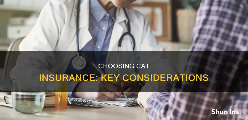 what should I consider when choosing cat insurance