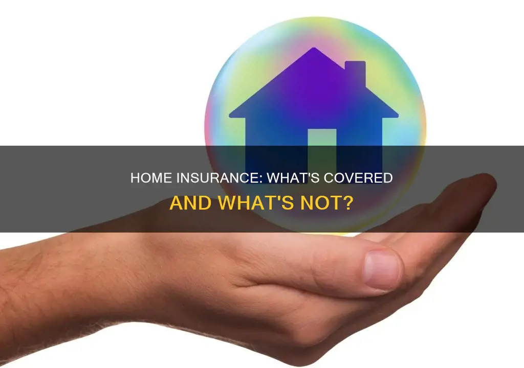what should I include in homeowners insurance