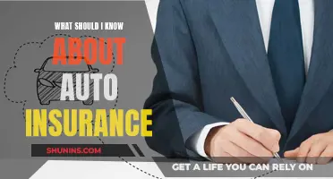 Auto Insurance: What You Need to Know