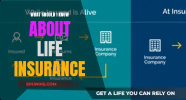 Life Insurance Basics: What You Need to Know