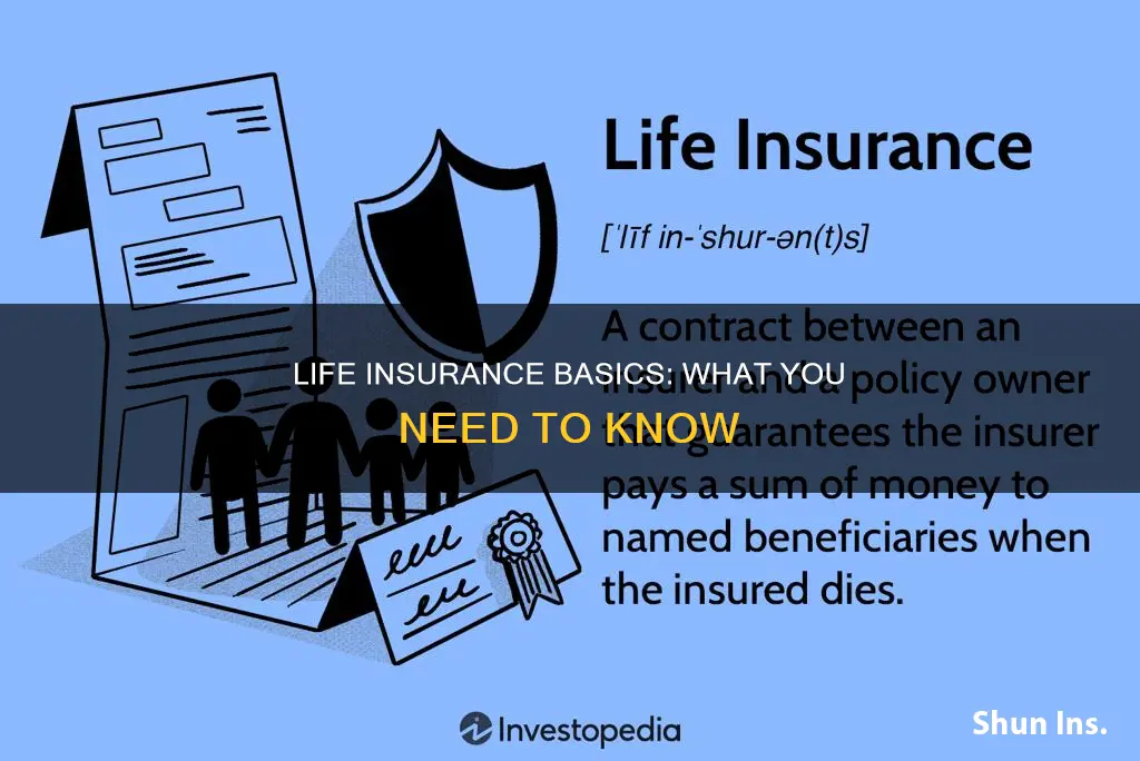 what should I know about life insurance